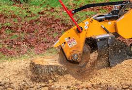 Best Tree Removal  in Whitehall, WI