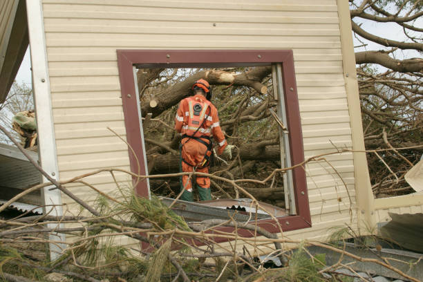 Seasonal Cleanup (Spring/Fall) in Whitehall, WI