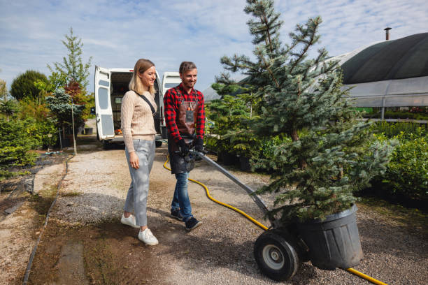 Best Weed Control  in Whitehall, WI